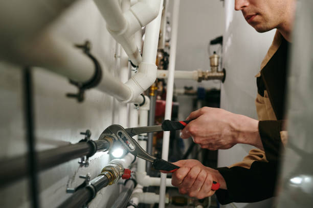 Best Local Plumber Services  in University, FL